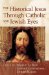The Historical Jesus Through Catholic and Jewish Eyes cover