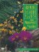 Growing Desert Plants : From Windowsill to Garden cover