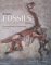  Bringing Fossils to Life: An Introduction to Paleobiology