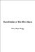 Hans Brinker or the Silver Skates cover