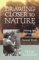 Drawing Closer to Nature : Making Art in Dialogue With the Natural World cover
