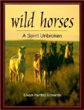 Wild Horses : A Spirit Unbroken [Click for larger image]