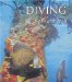 Diving in the Caribbean cover
