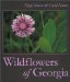 Wildflowers of Georgia cover