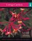 Cottage Gardens : Everything You Need to Create a Garden cover