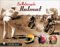 The Motorcycle Helmet : The 1930s-1990s cover