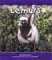 Lemurs cover