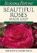 Jackson & Perkins Beautiful Roses Made Easy : Southern Edition cover