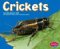 Crickets cover