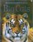 Big Cats : Internet Linked cover