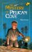 The Mystery of Pelican Cove cover