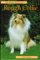 Agility : A Step-By-Step Guide cover