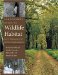 Landowner's Guide To Wildlife Habitat : Forest Managment For The New England Region cover