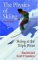 The Physics of Skiing: Skiing at the Triple Point