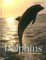 Dolphins cover