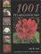 1001 Pelargoniums cover