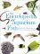The Encyclopedia of Aquarium Fish cover