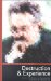 Walter Benjamin's Philosophy : Destruction and Experience cover