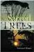 Sacred Trees : Spirituality, Wisdom & Well-Being cover