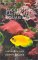 Successful Saltwater Aquariums : A Beginner's Guide cover
