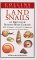 Land Snails of Brit & Nw Europe cover