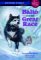 Balto and the Great Race cover