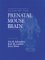 Atlas of the Prenatal Mouse Brain cover