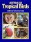 Australian Tropical Birds : A Selected Portfolio cover