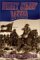 Bright Starry Banner : A Novel of the Civil War cover