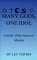 Many Gods, One Idol : A Study of the Nature of Religion cover