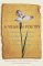 A Year in Poetry : A Treasury of Classic and Modern Verses for Every Date on the Calendar cover