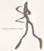 James Surls : The Splendora Years, 1977-1997 cover