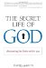 The Secret Life of God : Discovering the Divine Within You cover