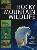 Rocky Mountain Wildlife [Click for larger image]