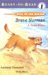 Brave Norman : A True Story cover