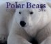 Polar Bears 2006 Calendar cover