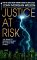 Justice at Risk : The Road to Redemption May Be a Dead-End Street cover