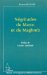 Negritudes Du Maroc Et Du Maghreb : Servitude, Cultures a Possession Et Transtherapies cover