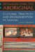 Defamiliarizing the Aboriginal : Cultural Practices and Decolonization in Canada cover