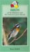 Birds of the Bahamas and the Turks and Caicos Islands cover