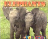 Elephants [Click for larger image]