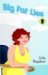 Big Fat Lies cover