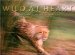 Wild at Heart : Man and Beast in Southern Africa cover