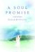 A Soul Promise : A Spiritual Quest cover