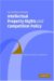 The Interface Between Intellectual Property Rights And Competition Policy cover