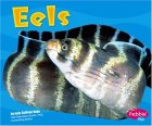 Eels [Click for larger image]