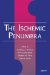 The Ischemic Penumbra cover