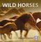 Wild Horses cover