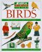 Birds cover