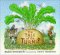 The Tale of the Turnip